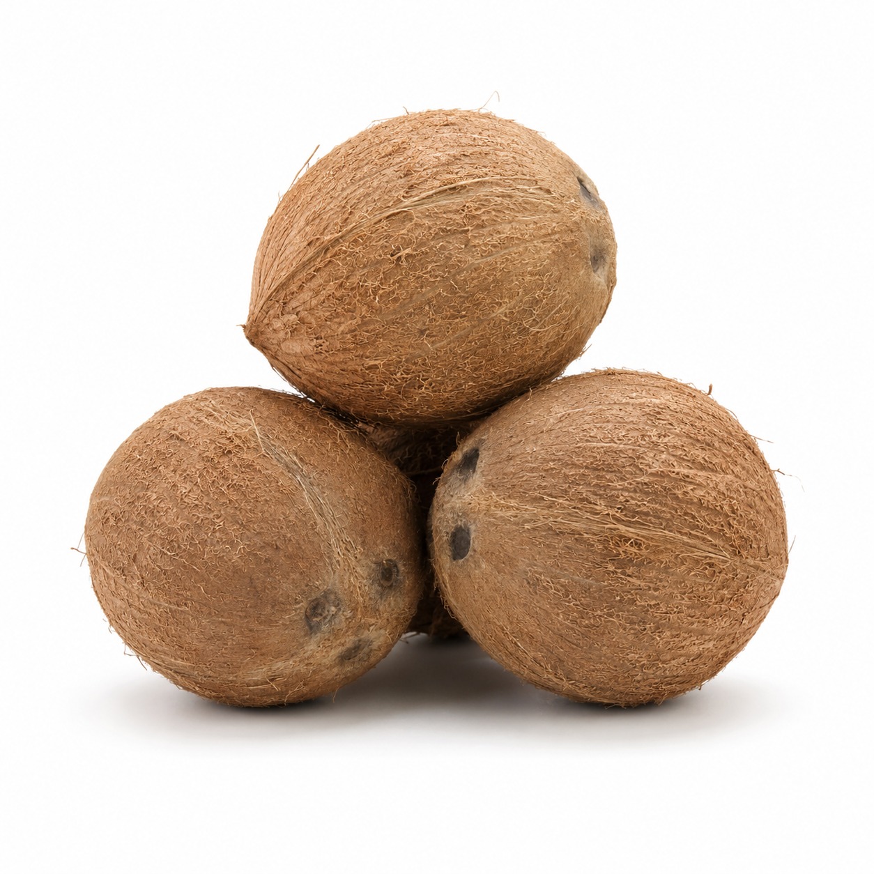 Mature Coconut