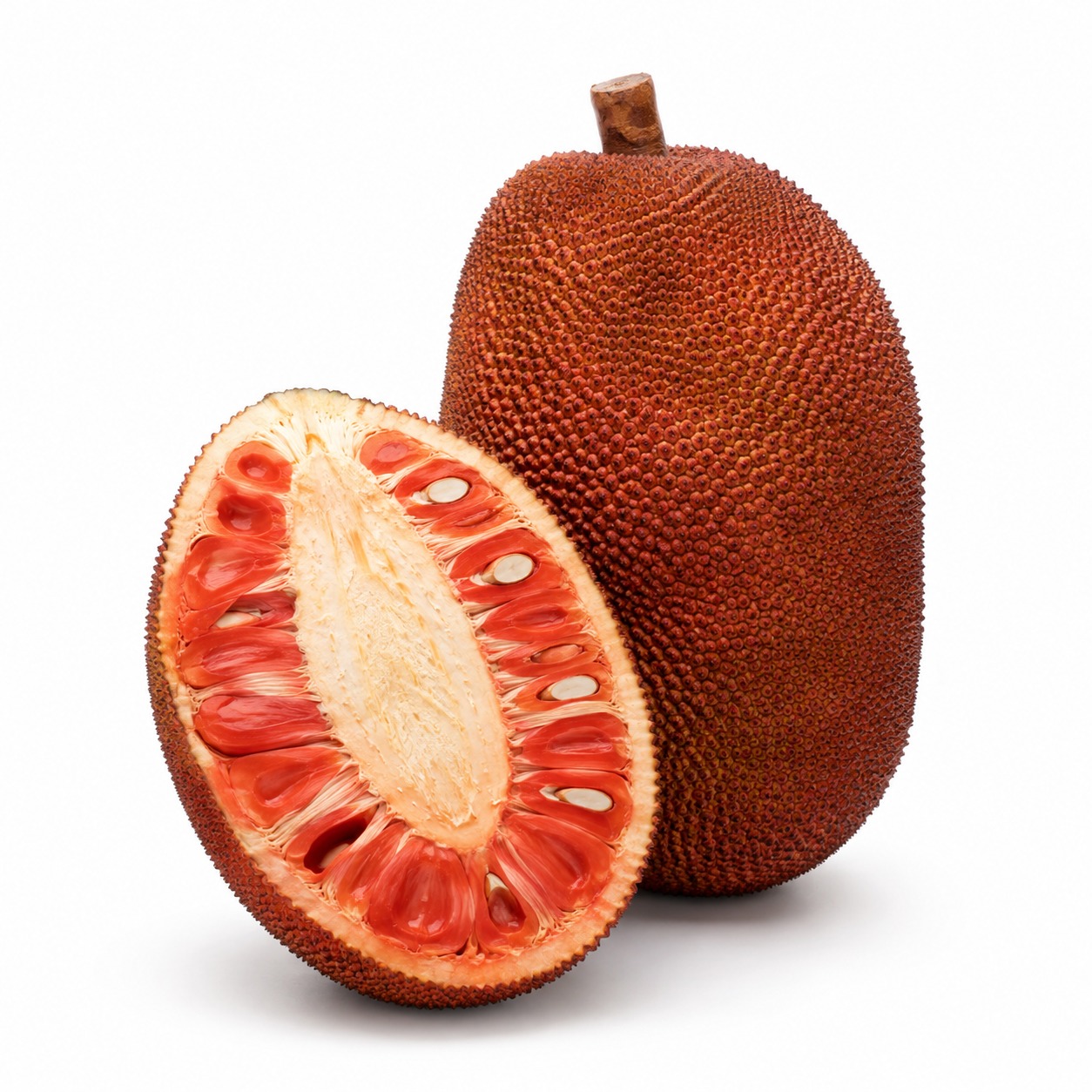 Red Jackfruit